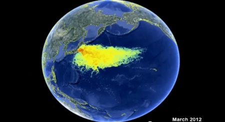 marine contamination13